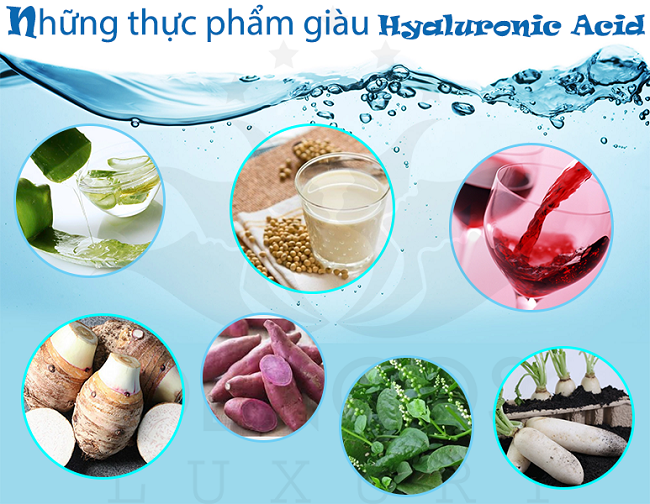  Những thực phẩm giàu  Axit Hyaluronic﻿