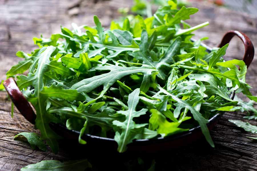 Xà lách Rocket (Rau Arugula)