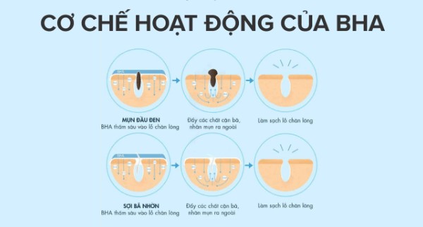 cơ chế hoạt động tẩy tế bào chết hóa học