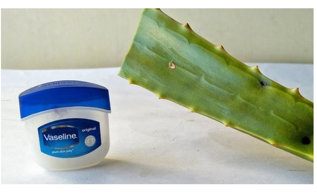 dùng nha đam và vaseline để tẩy tế bào chết môi