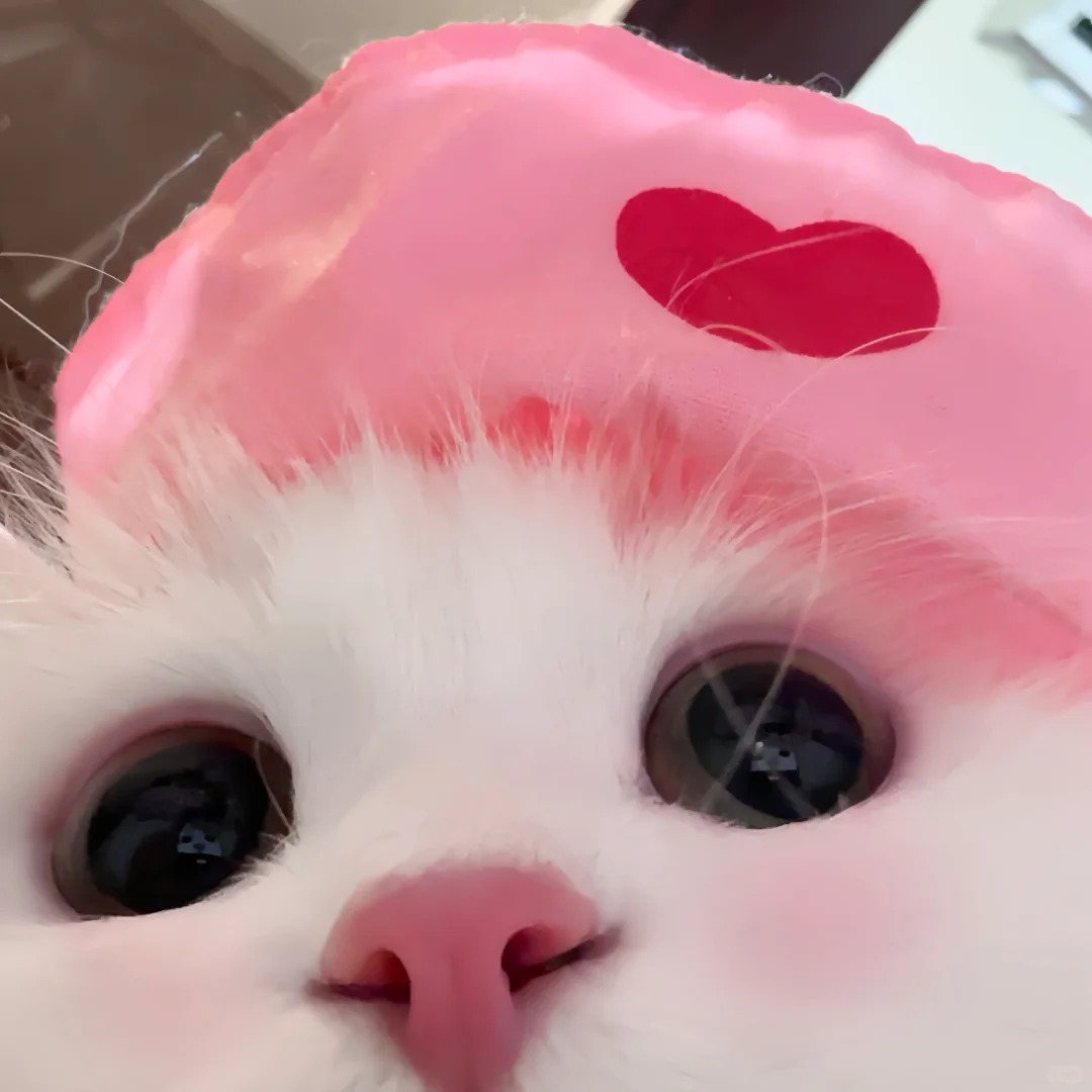 avatar mèo vô tri (18)