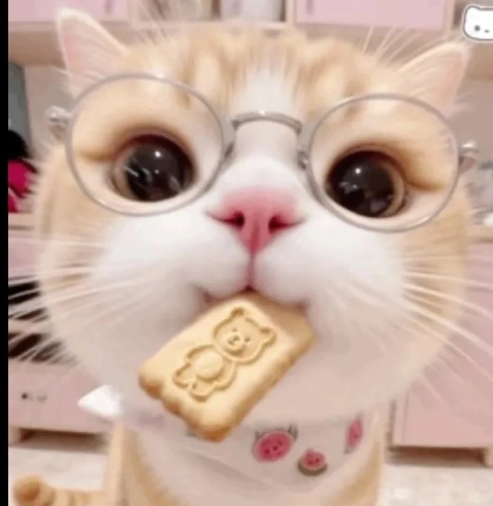 avatar mèo vô tri (5)