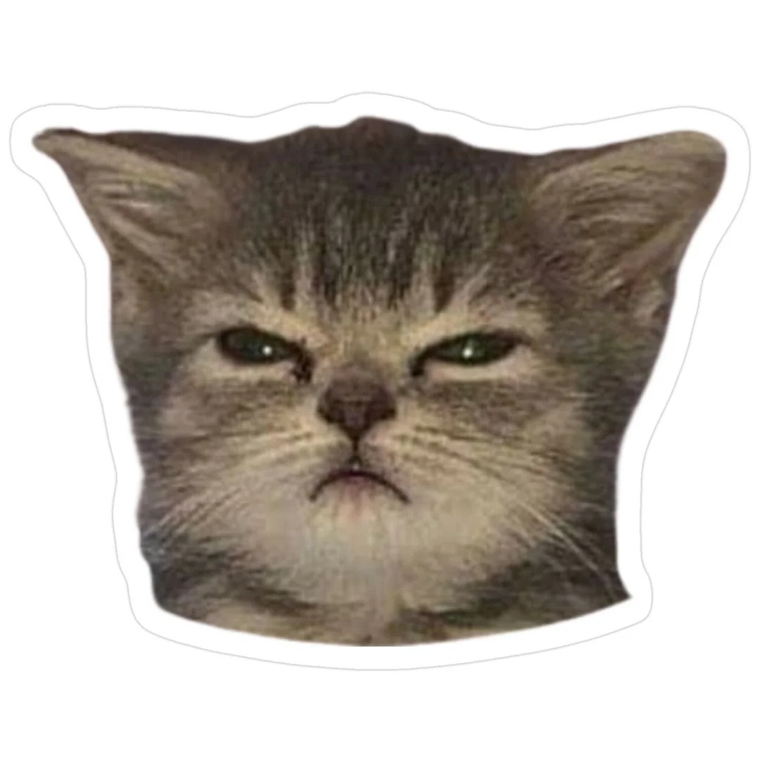 avatar mèo vô tri cute