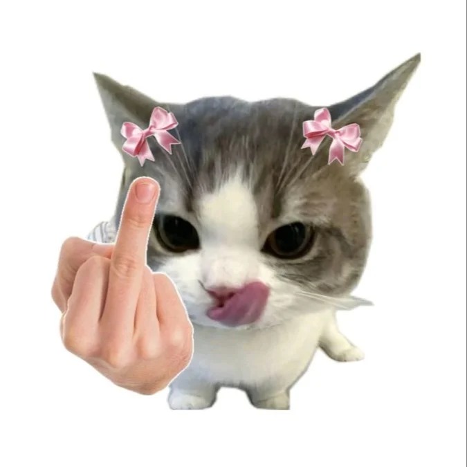 avatar mèo vô tri đeo kính