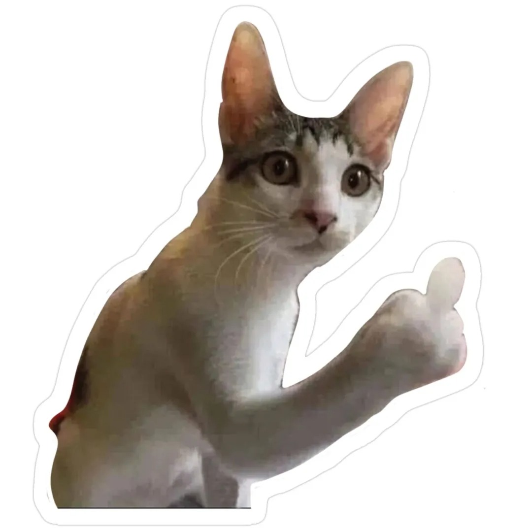 avatar mèo vô tri hài hước