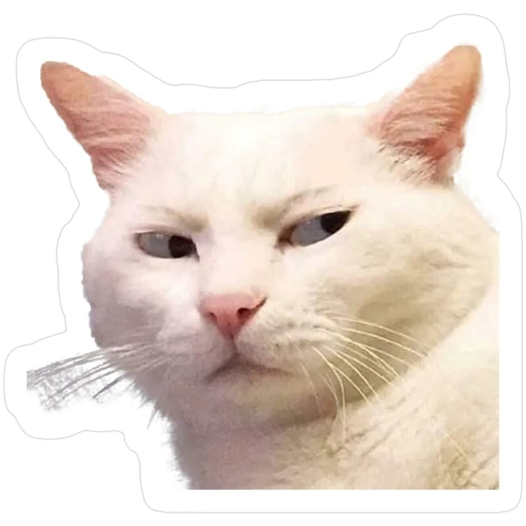 avatar mèo vô tri khóc