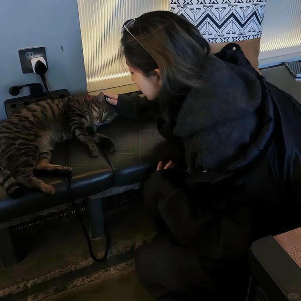 facebook đôi avatar cặp người thật chất (22)