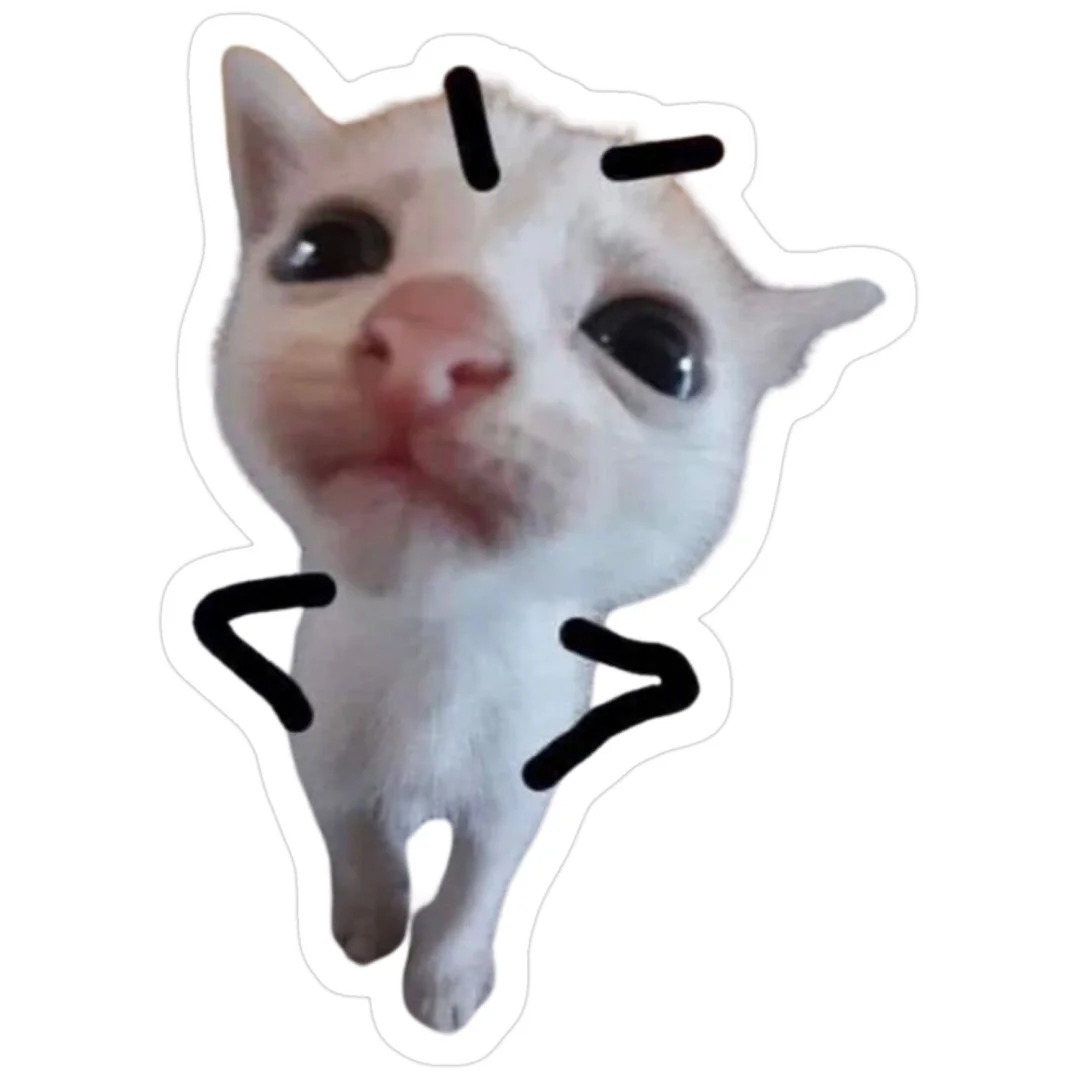 hình avatar mèo vô tri